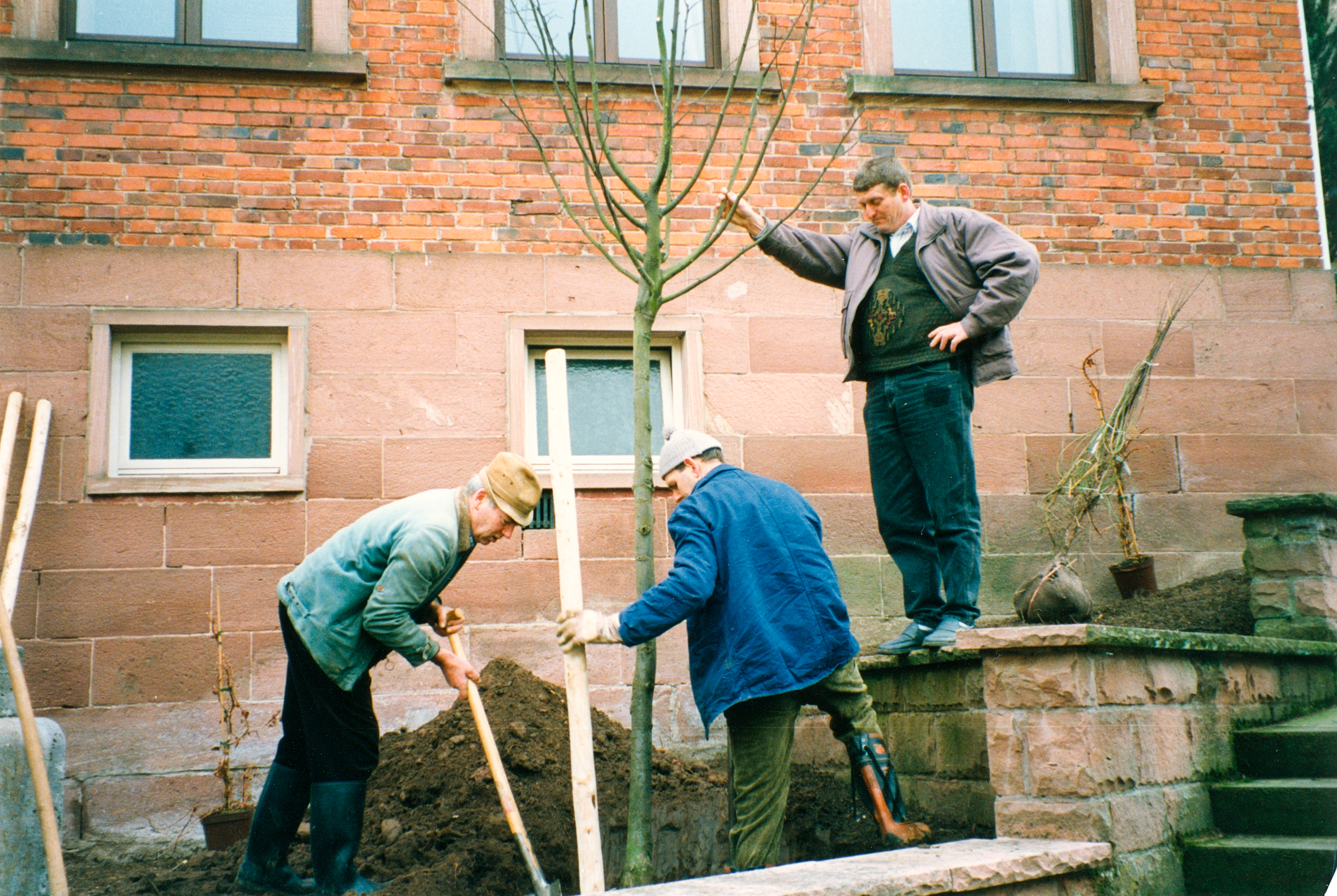 Bepflanzung 26. Februar 1992