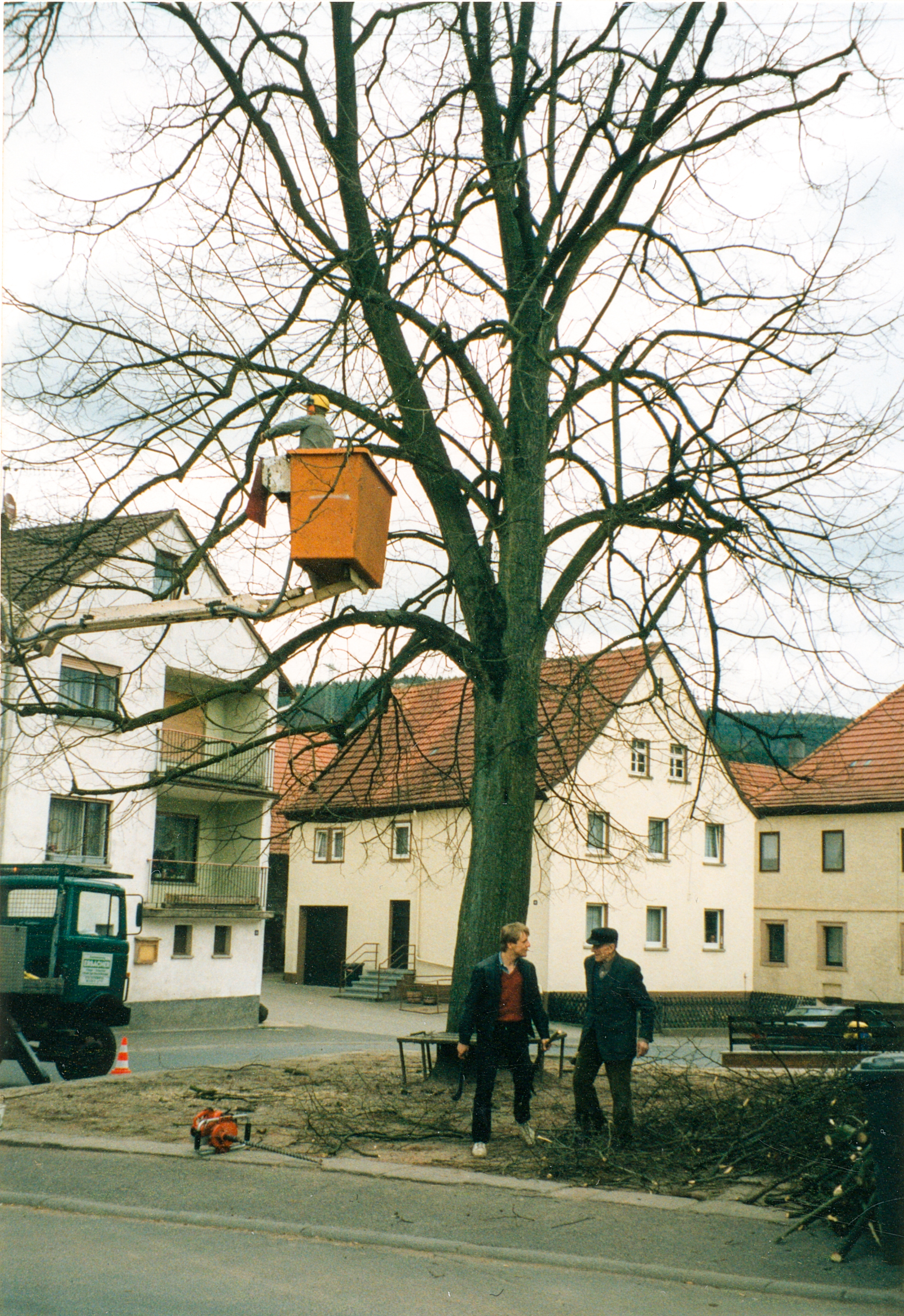 Die Linde wird ausgeputzt April 1991