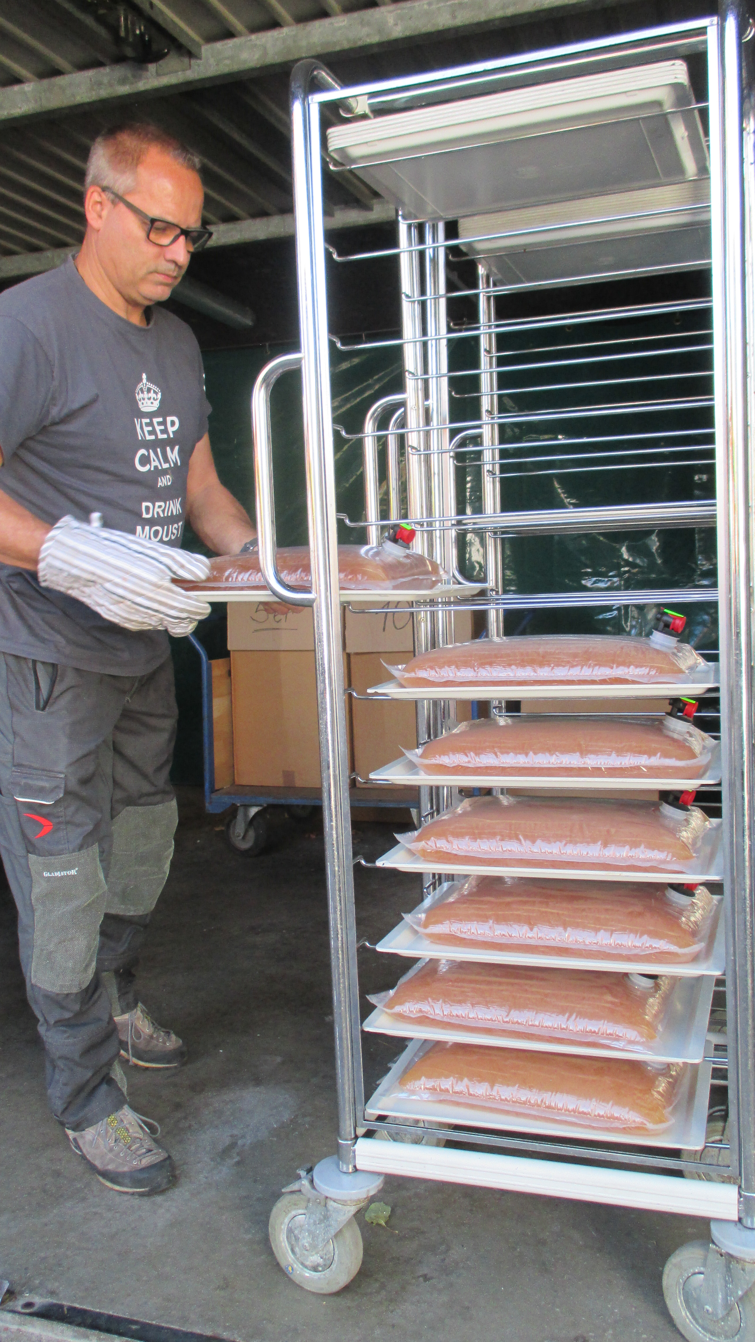 Kleinmosterei Mittelsinn