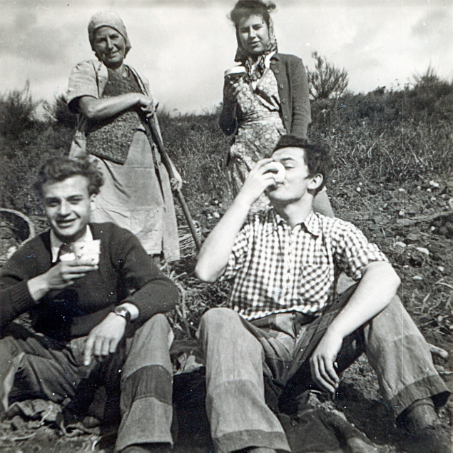 Kartoffelernte 1954